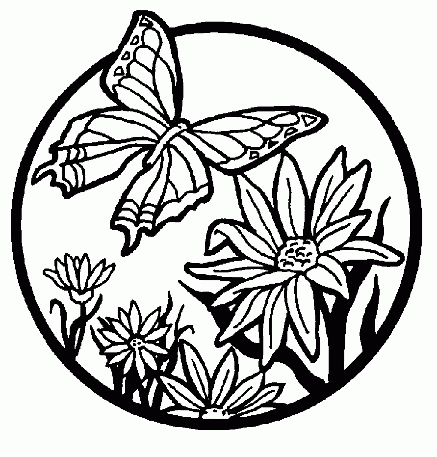 printable pictures to color of butterflies