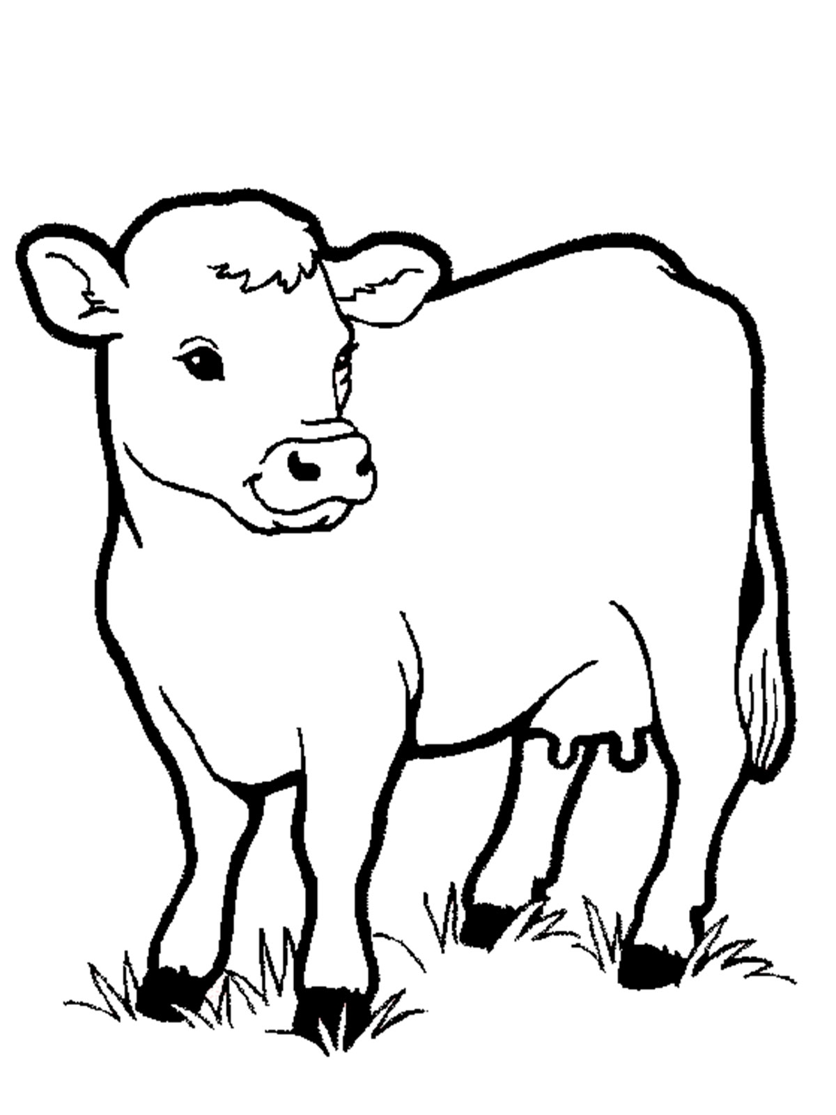 Printable Pictures Of Cows