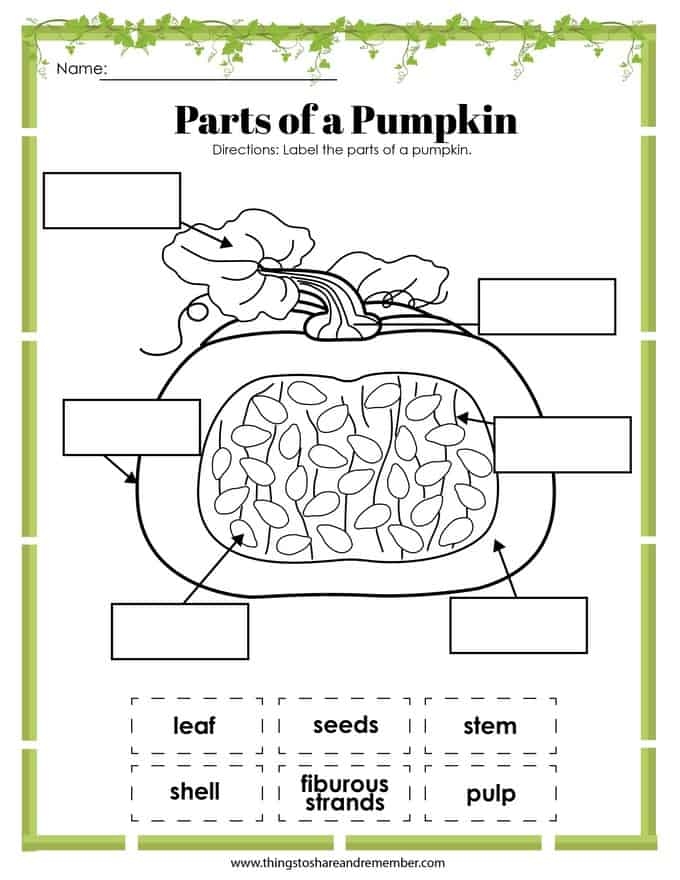 Printable Pumpkin Activities Things To Share Remember