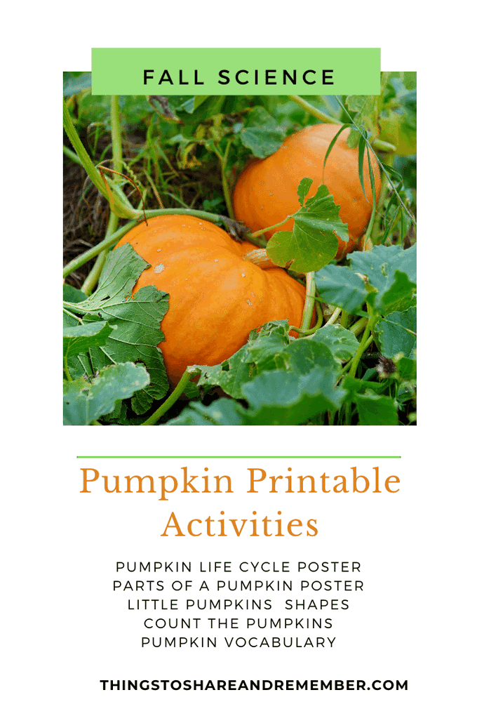 Printable Pumpkin Activities Things To Share Remember