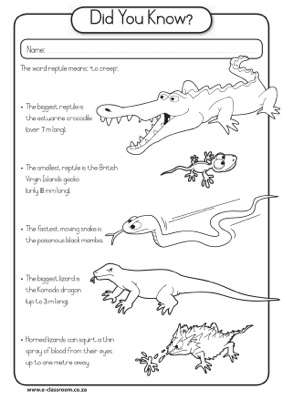 Printable Reptile Worksheets For Preschoolers