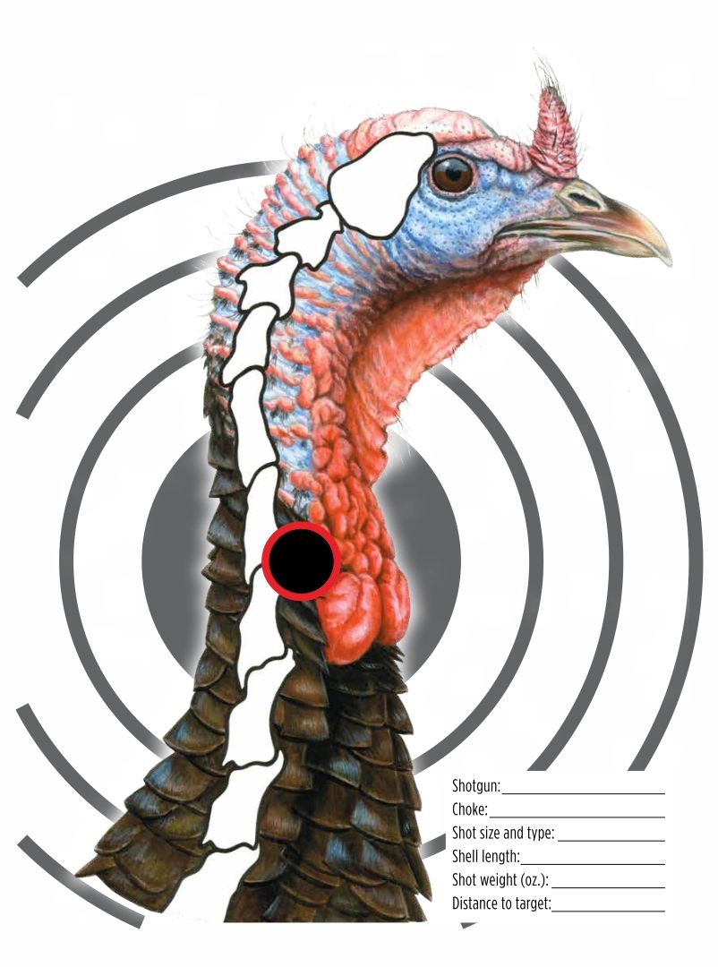 Printable Turkey Target Real Size Printable JD