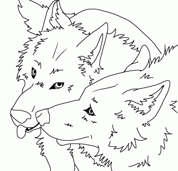 Printable Wolves Coloring Pages PDF Coloringfolder