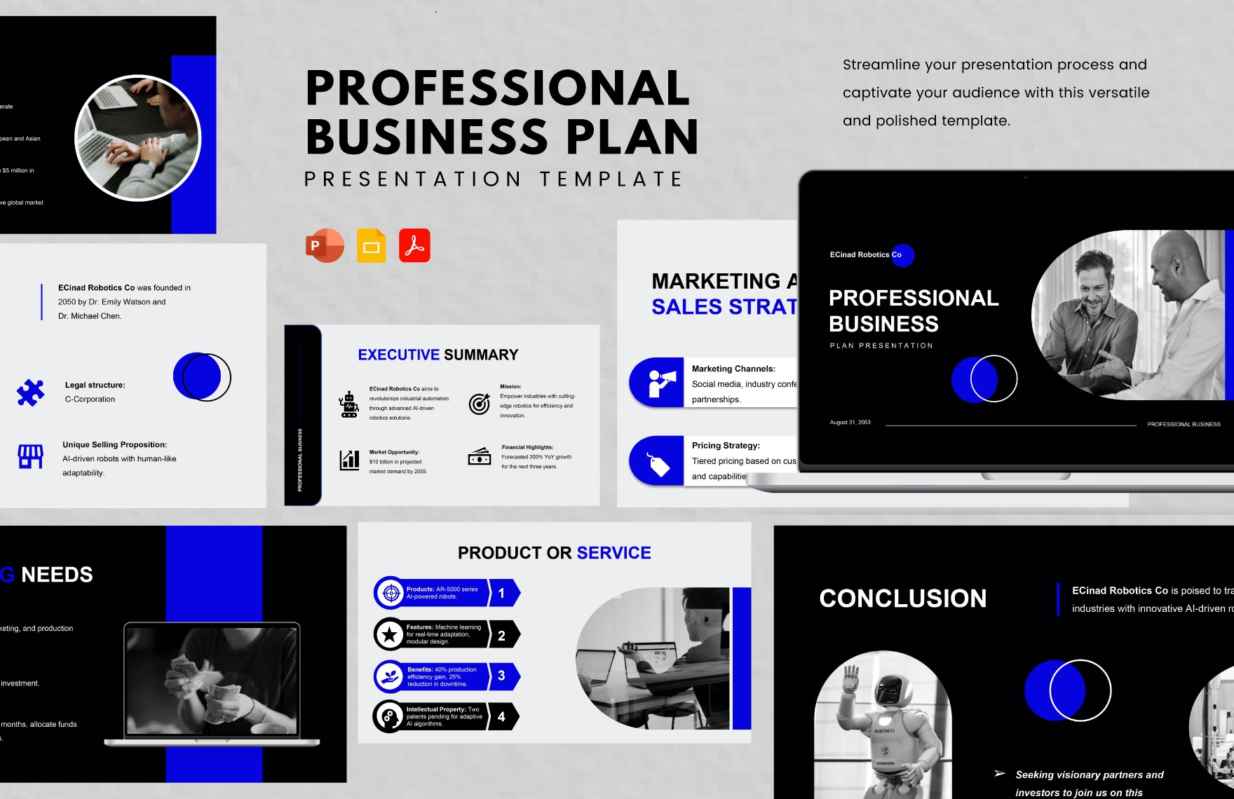 Professional Business Plan Presentation Template In PDF Google Slides