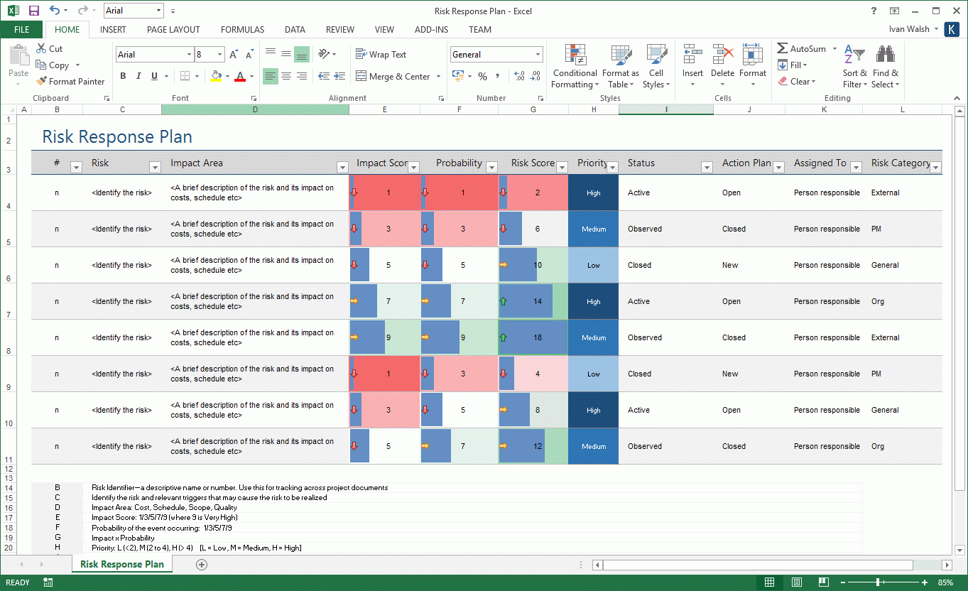 Risk Management Plan Template Software Development Templates Forms 