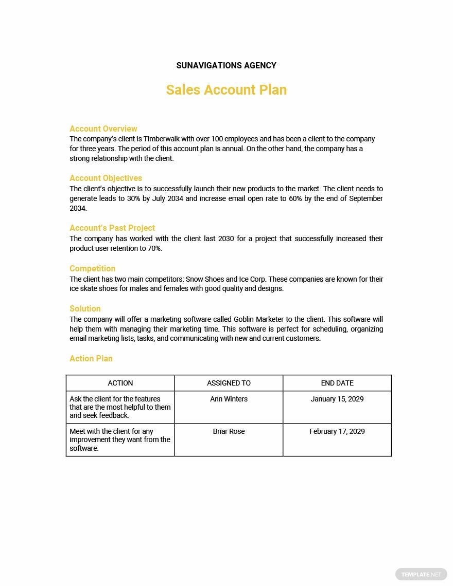 Sales Account Plan Template Google Docs Word Apple Pages PDF 