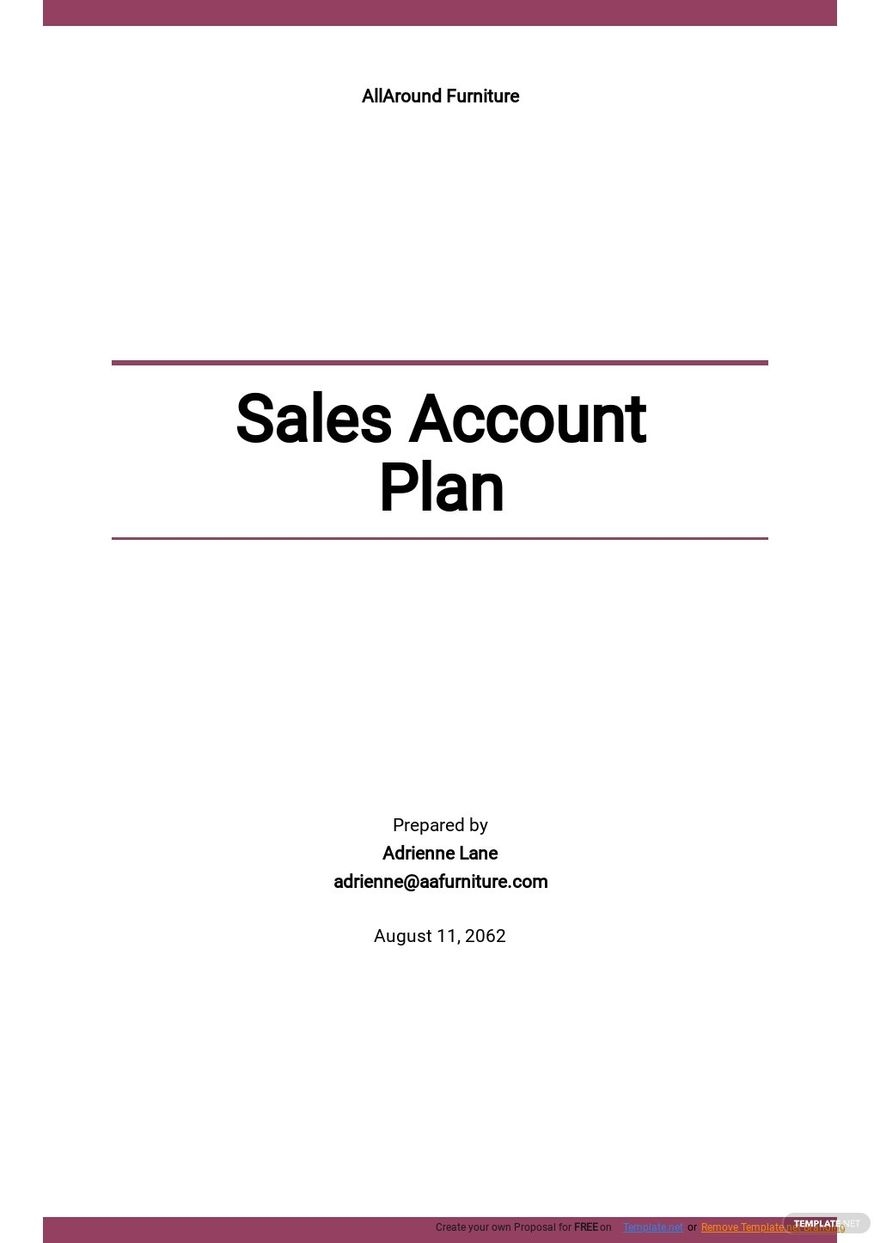 Sales Account Plans In Word Templates Designs Docs Free Downloads 