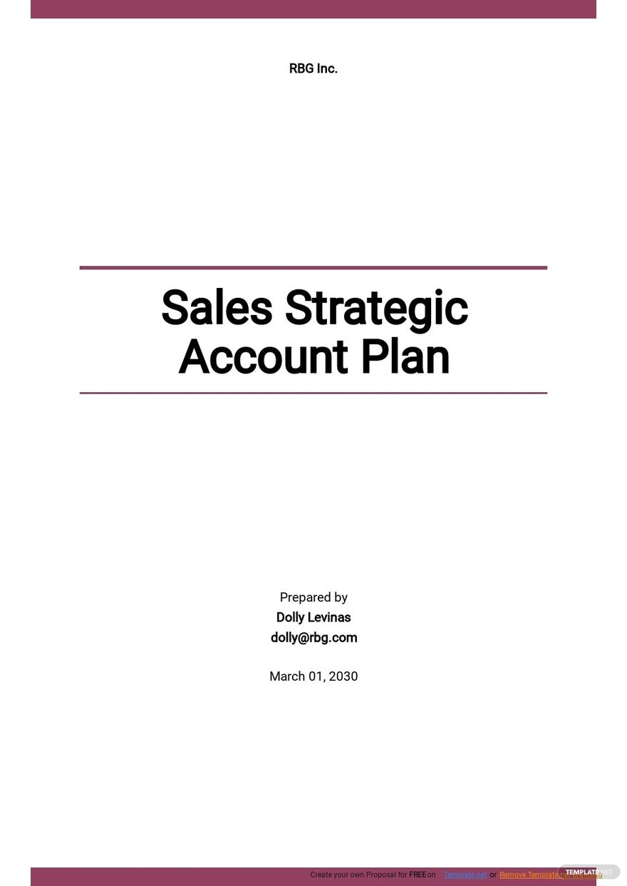 Sales Strategic Account Plan Template Google Docs Word Apple Pages 