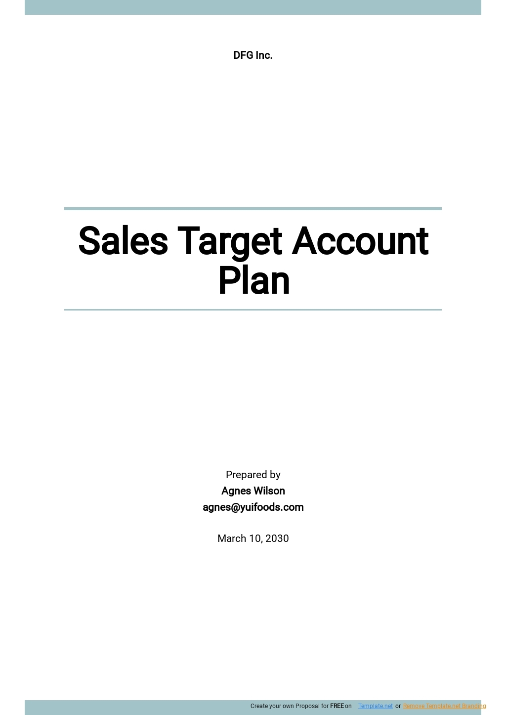 sales account plan template