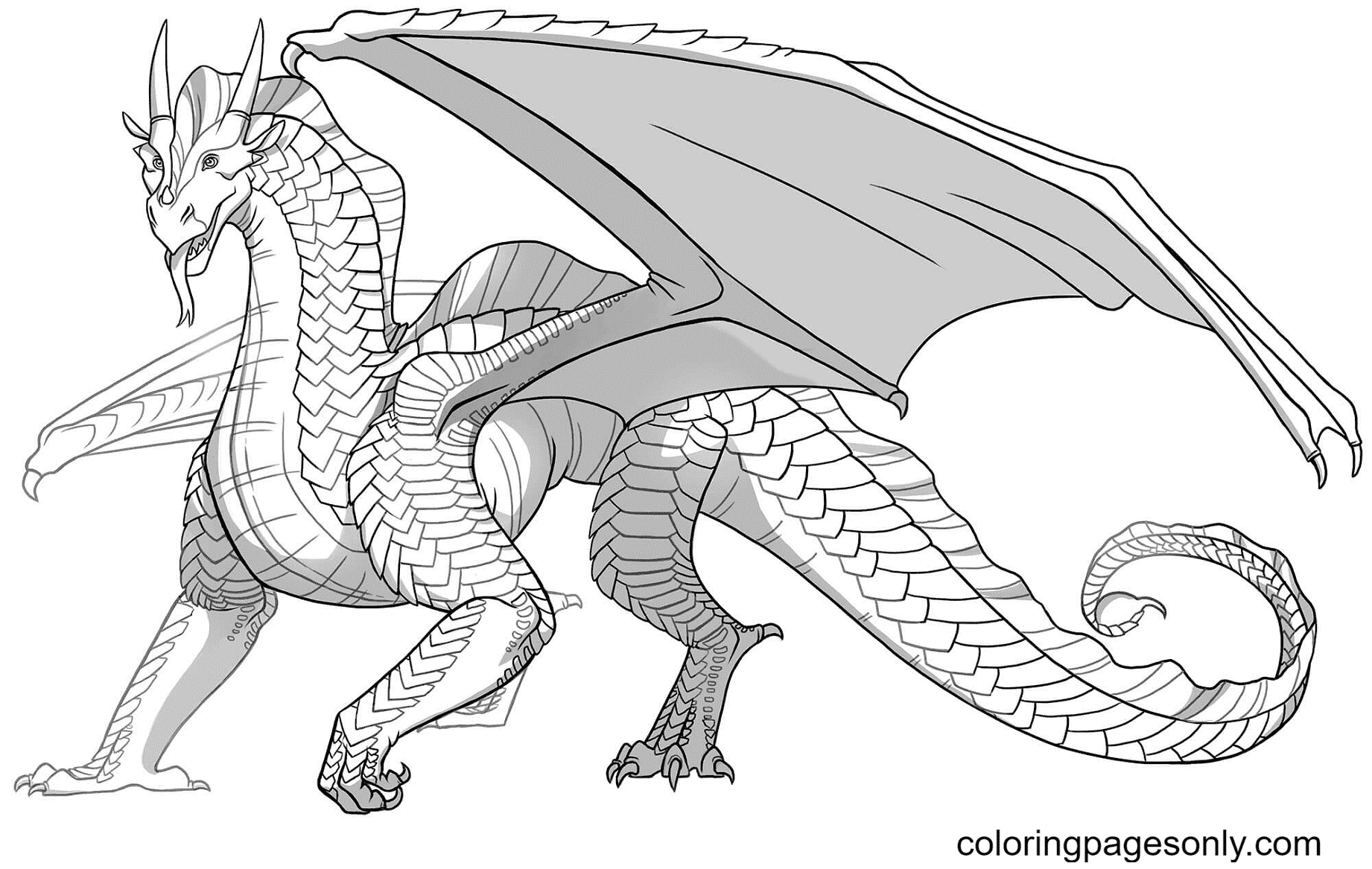 Sandwing Dragon Printable Coloring Page Free Printable Coloring Pages