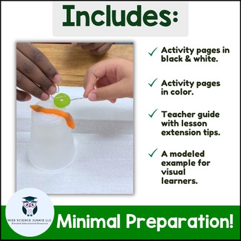save fred activity printable