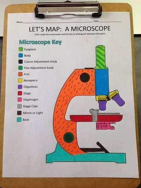 Science Activity A Printable For Learning Parts Of The Microscope In
