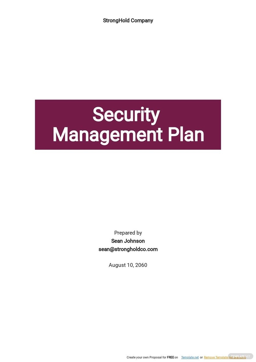 Security Plan Templates Documents Design Free Download Template