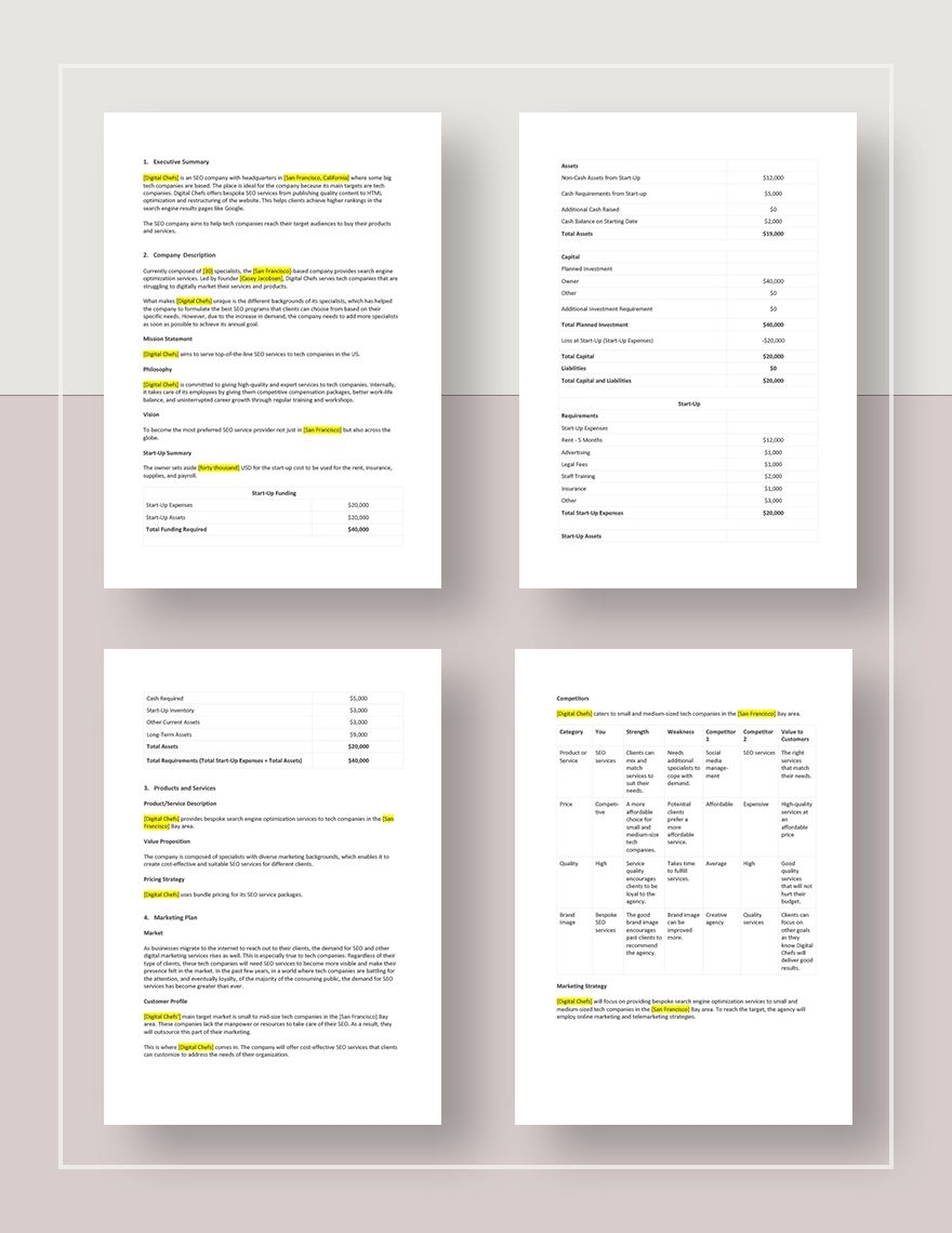 SEO Agency Company Development Plan Template In Pages Word Google 