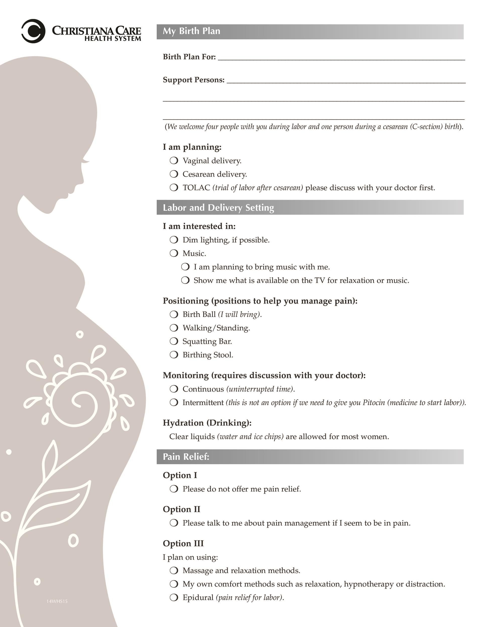 Simple Birth Plan Template Awesome 47 Printable Birth Plan Templates 