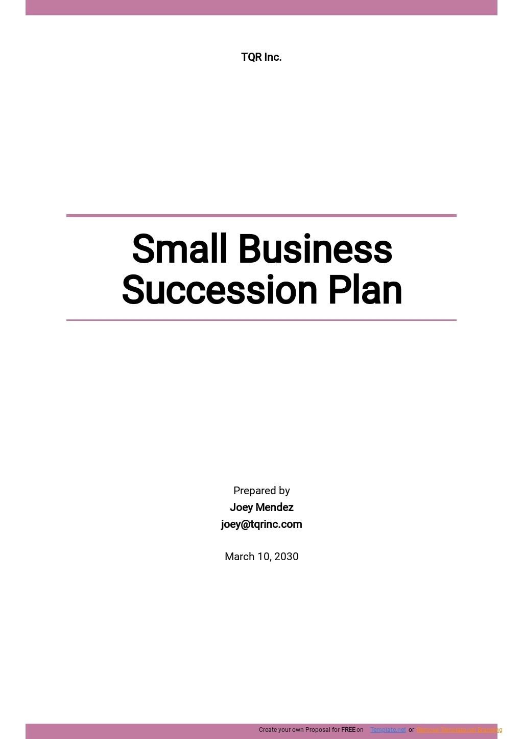 Small Business Succession Plan Template Google Docs Word Apple 