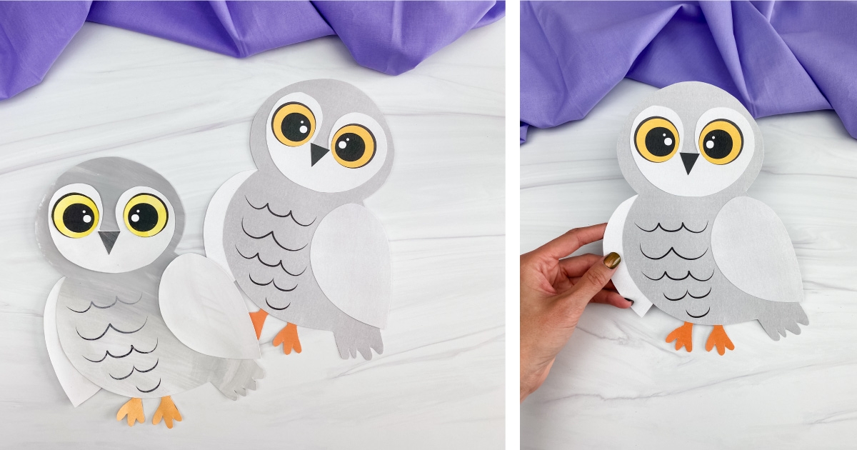 owl printable activity