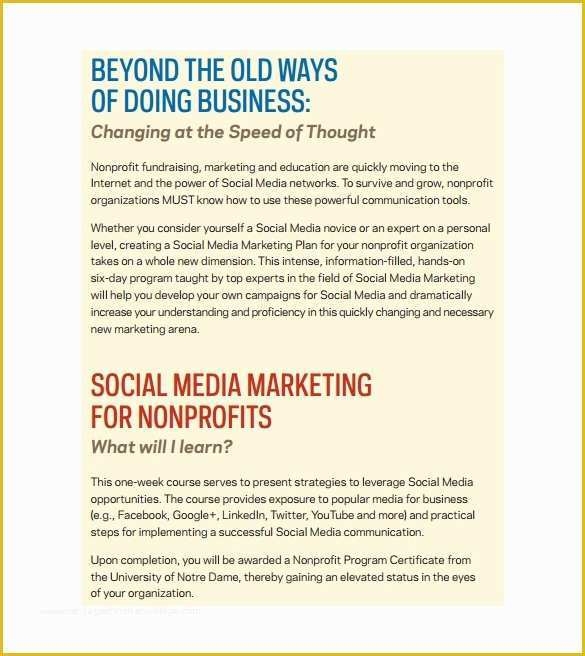 Social Media Marketing Proposal Template Free Of 9 Social Media 
