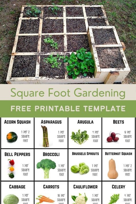 Square Foot Garden And Free Printable Template Pin For Pinterest 