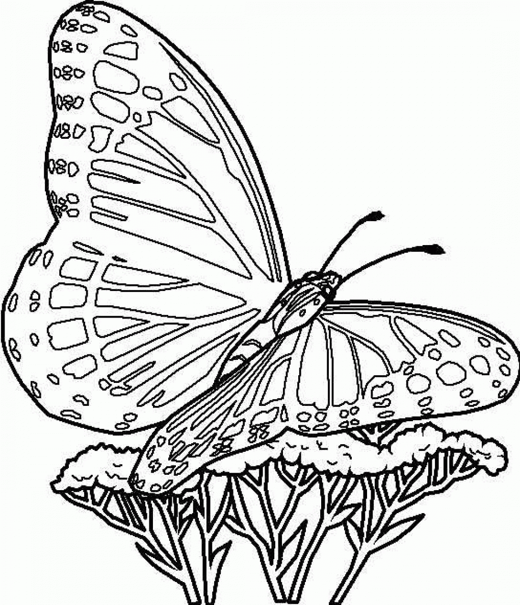 Stars Free Printable Templates 49 Free Printable Butterfly 