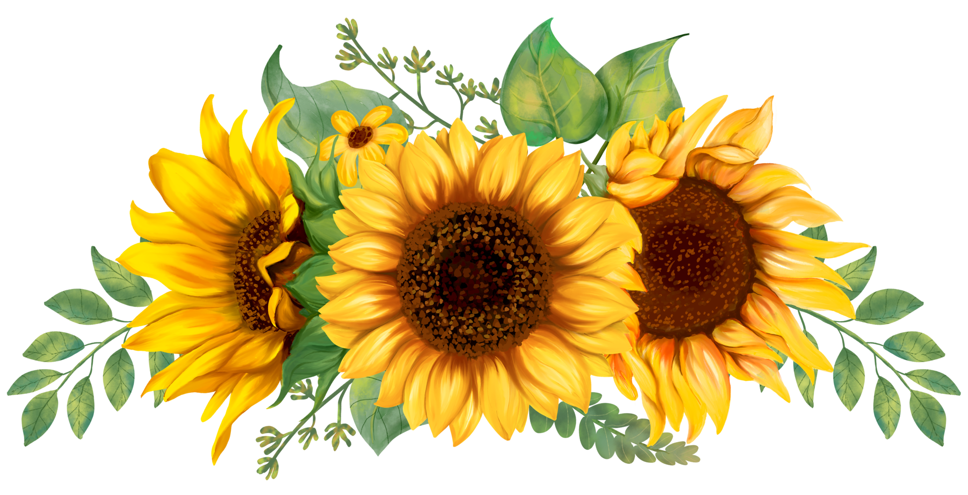 printable pictures of sunflowers