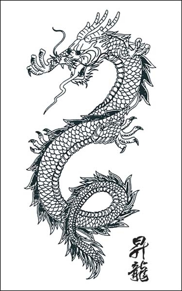 TATTOOS Dragon Tattoo Stencils 4