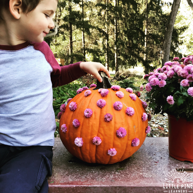 The Cutest No Carve Pumpkin Design Little Pine Learners