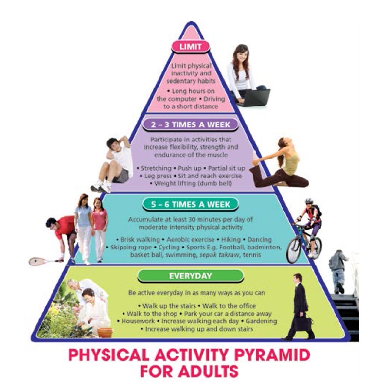 The Philippine Physical Activity Pyramid Quiz Vrogue co