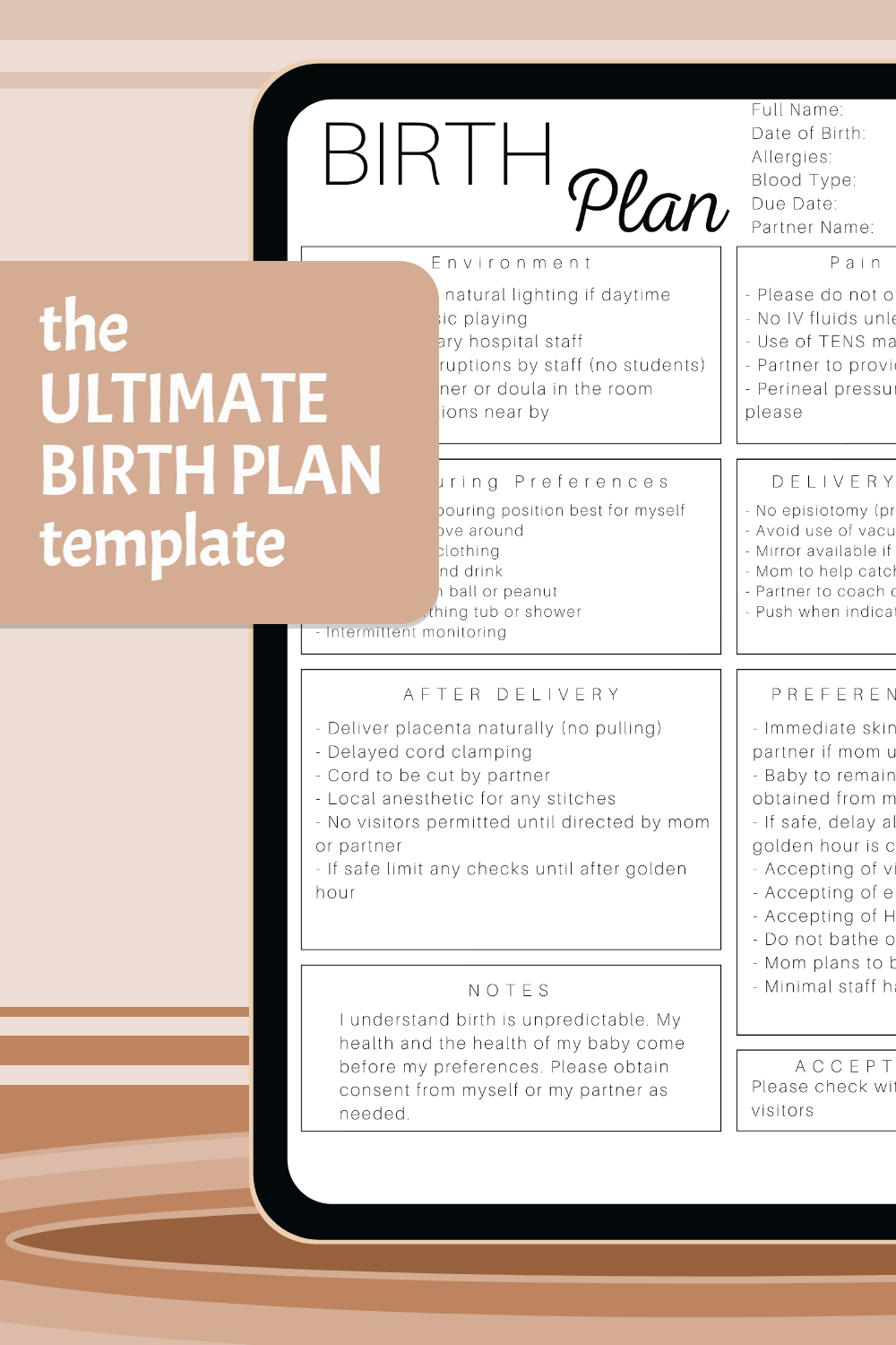 The Ultimate Birth Plan Template Birth Plan Template Birth Plan How