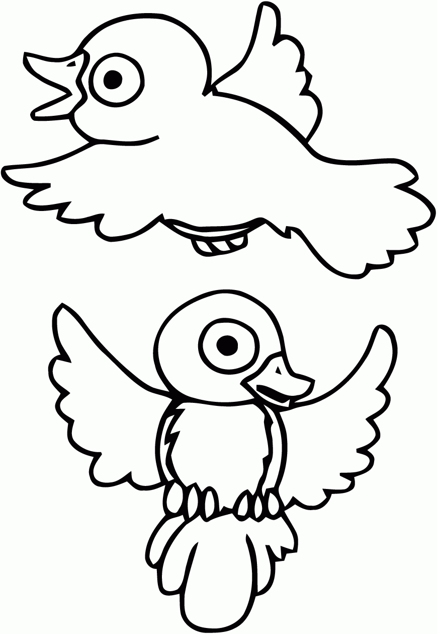 printable coloring pictures of birds