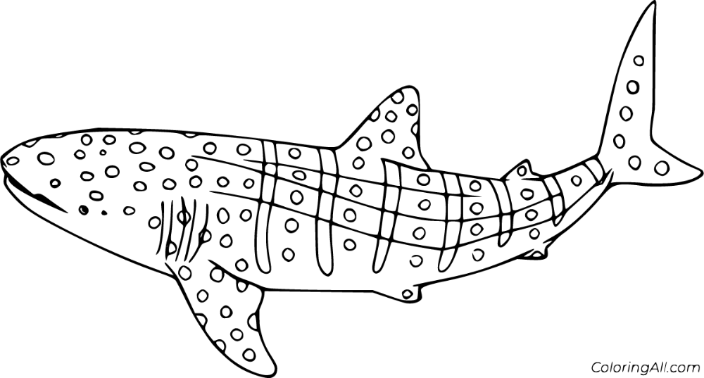 Whale Shark Printable Printable New Year Banners
