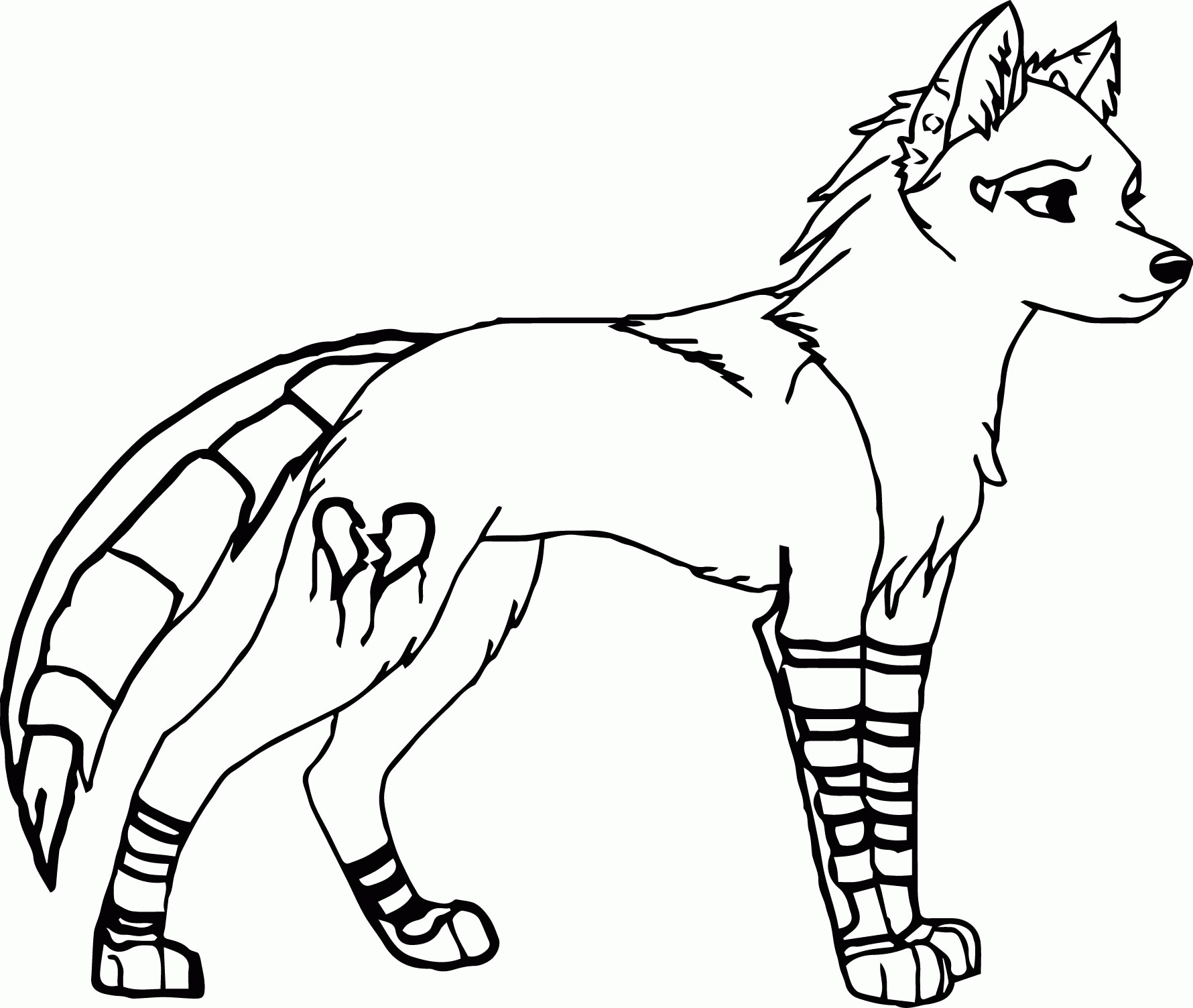 Wolves With Wings Coloring Pages Coloring Home