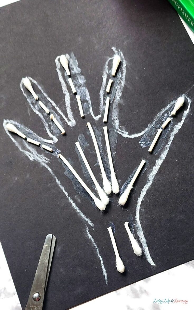 X ray Activities For Kindergarten